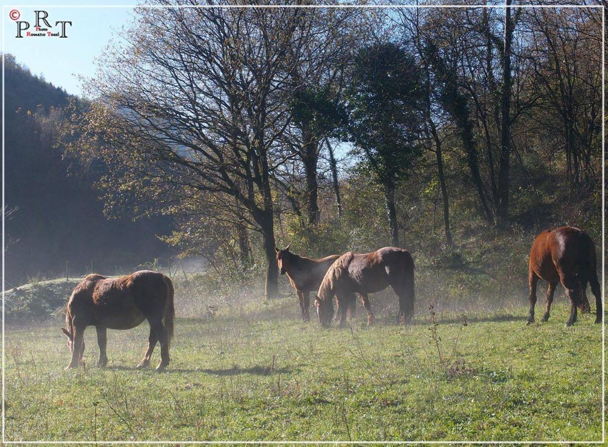 I Balzani B&B Matelica Buitenkant foto