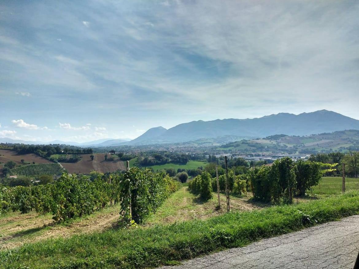 I Balzani B&B Matelica Buitenkant foto