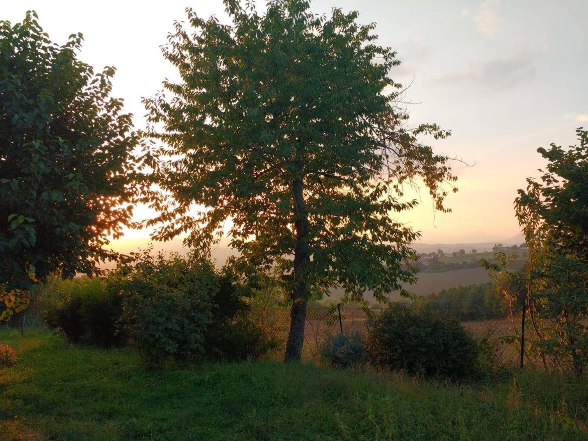 I Balzani B&B Matelica Buitenkant foto
