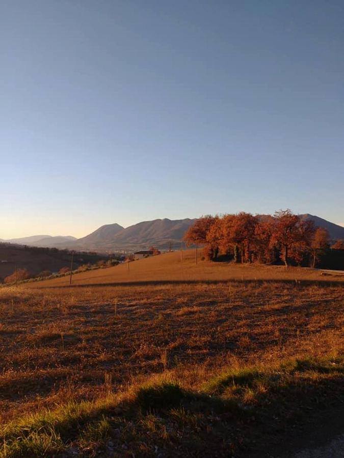 I Balzani B&B Matelica Buitenkant foto