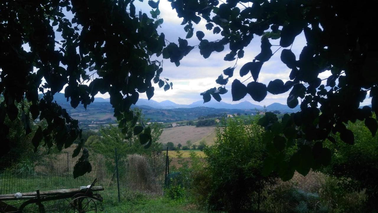 I Balzani B&B Matelica Buitenkant foto